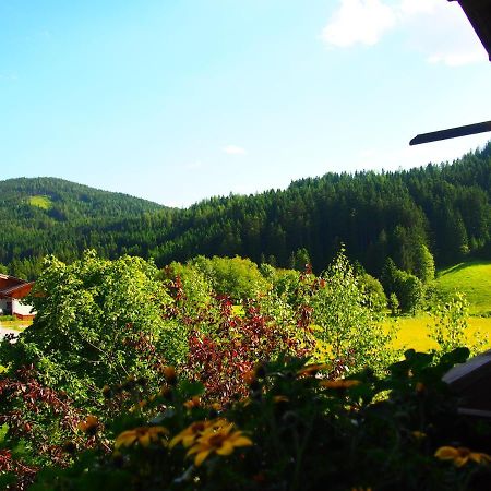 Appartment Kainhofer Sankt Martin am Tennengebirge Dış mekan fotoğraf