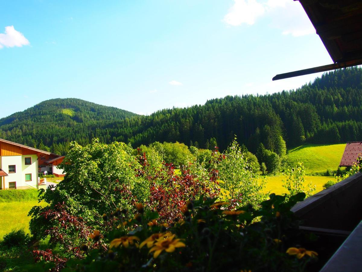 Appartment Kainhofer Sankt Martin am Tennengebirge Dış mekan fotoğraf