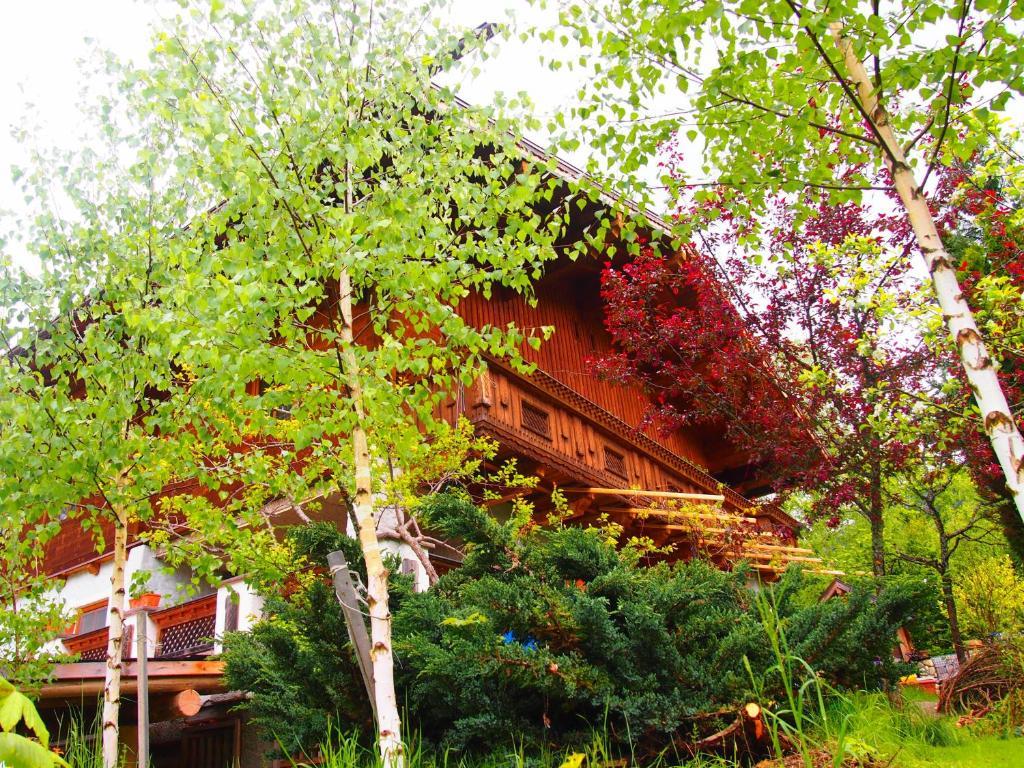 Appartment Kainhofer Sankt Martin am Tennengebirge Dış mekan fotoğraf