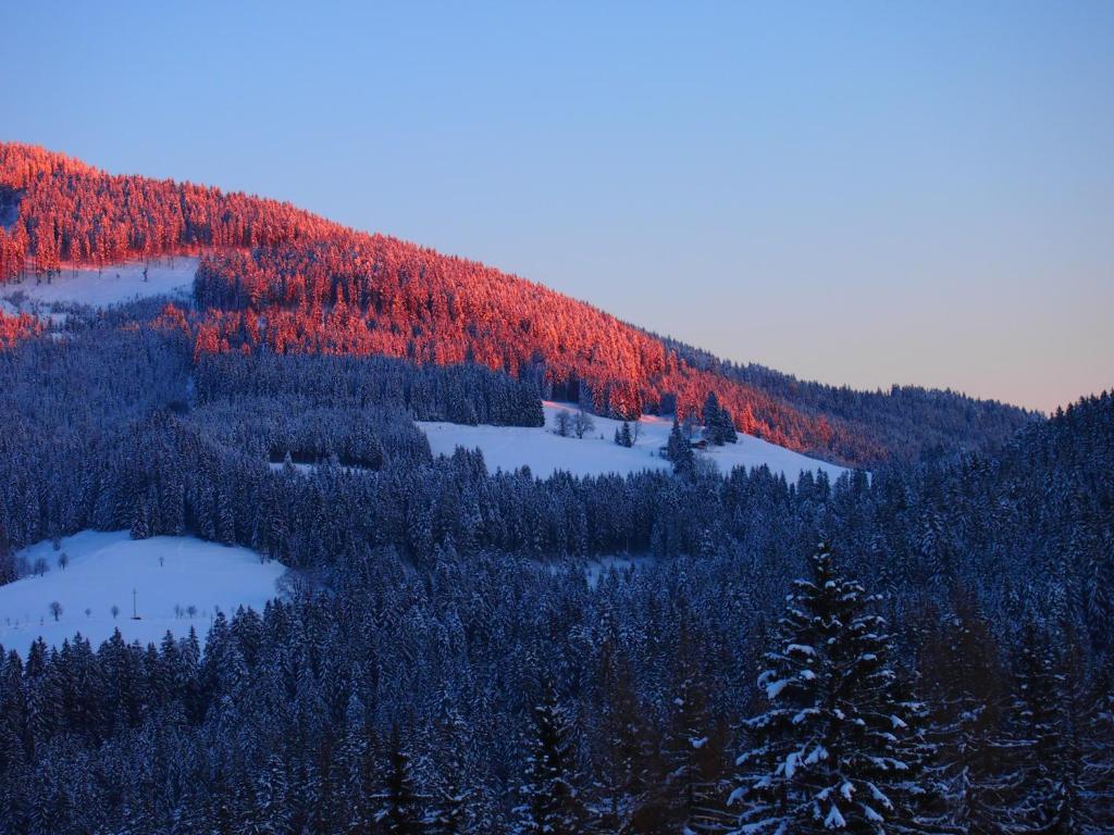 Appartment Kainhofer Sankt Martin am Tennengebirge Dış mekan fotoğraf