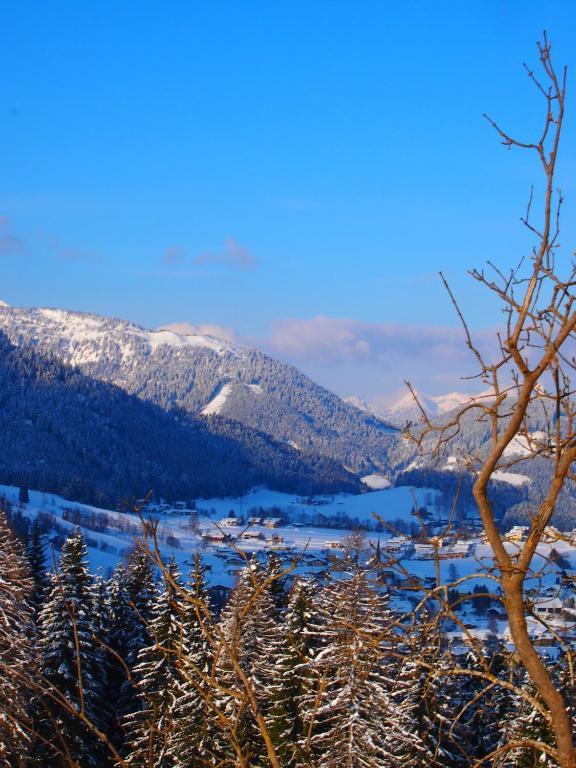 Appartment Kainhofer Sankt Martin am Tennengebirge Dış mekan fotoğraf