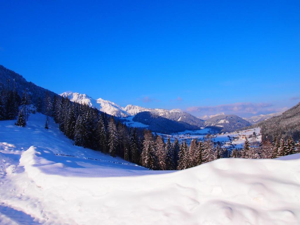 Appartment Kainhofer Sankt Martin am Tennengebirge Dış mekan fotoğraf