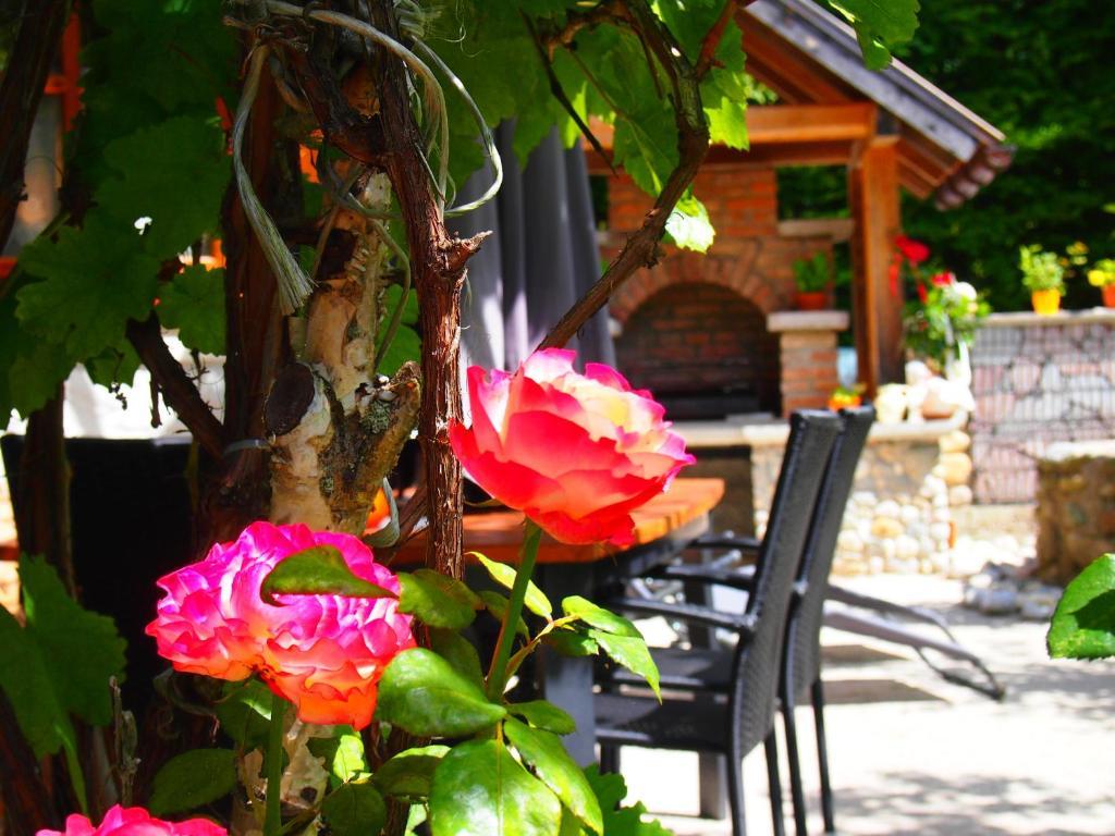 Appartment Kainhofer Sankt Martin am Tennengebirge Oda fotoğraf